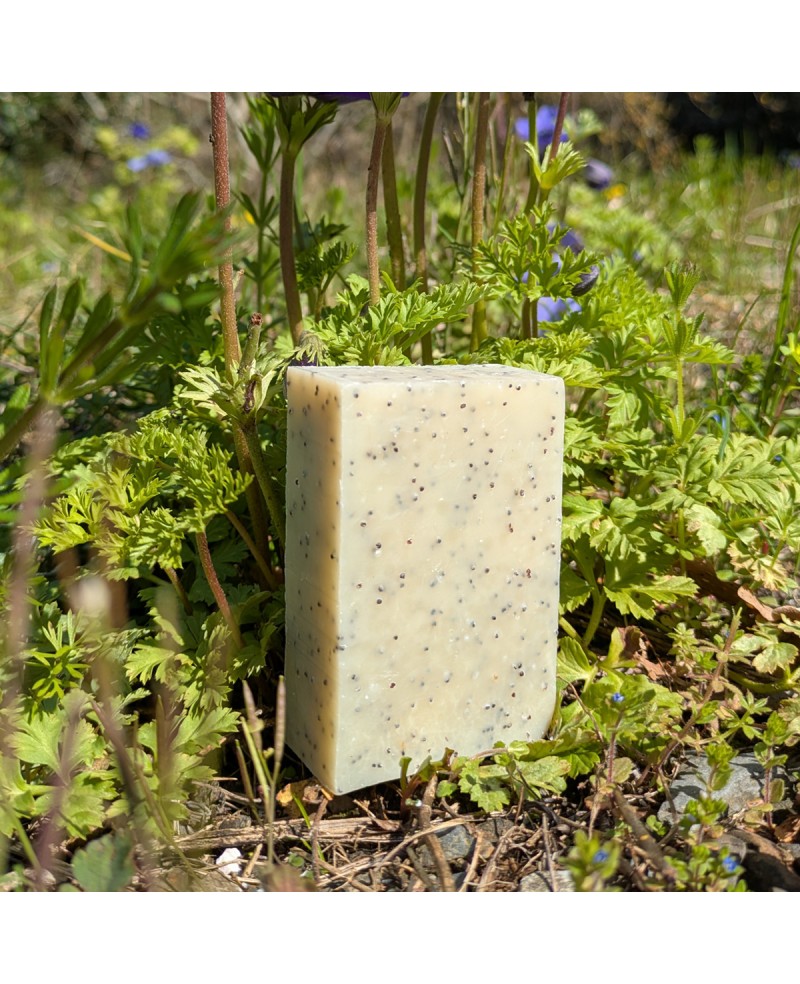 Savon exfoliant aux graines de pavot et à l'huile essentielle de tea tree Savon exfoliant aux graines de pavot et à l'huile essentielle de tea tree