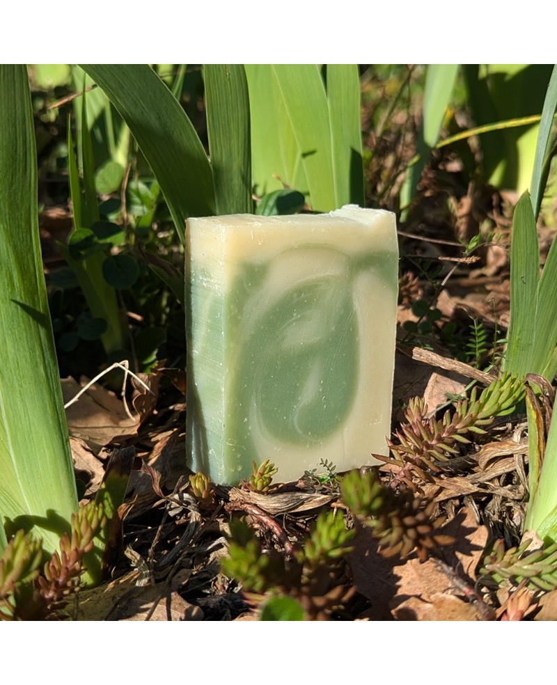 savon à l'huile essentielle de tea tree