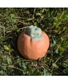 savon orange