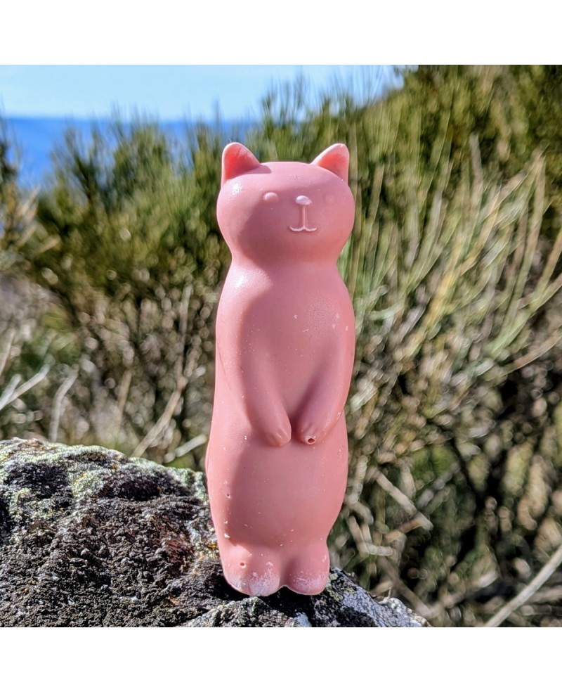 savon chat