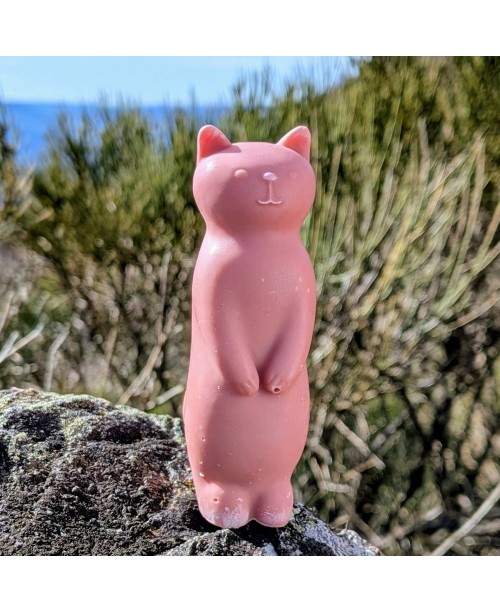 savon chat de la savonnerie de la Buèges