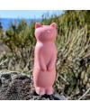 savon chat