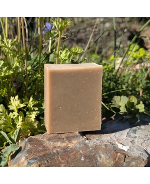 shampoing ayurvédique