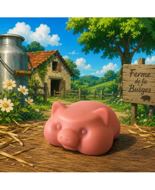 savon cochon de la savonnerie de la Buèges