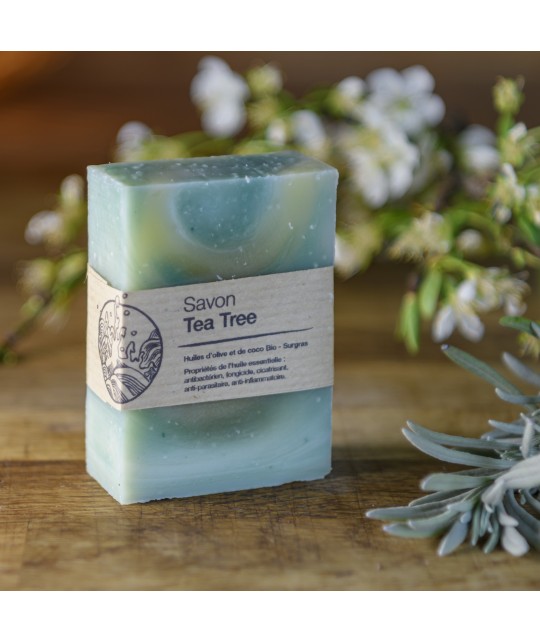 Le savon Tea-Tree, un soin naturel pour les peaux grasses